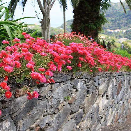 Quinta Da Capela Guest house